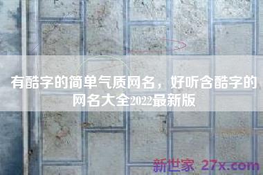 有酷字的简单气质网名，好听含酷字的网名大全2022最新版