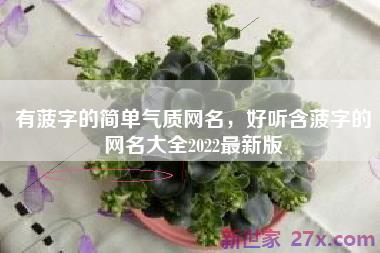 有菠字的简单气质网名，好听含菠字的网名大全2022最新版