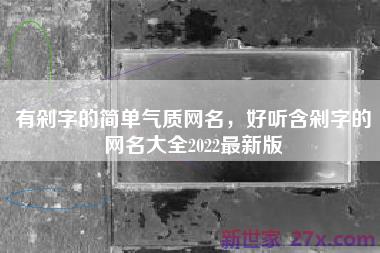 有剁字的简单气质网名，好听含剁字的网名大全2022最新版