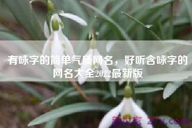 有咏字的简单气质网名，好听含咏字的网名大全2022最新版