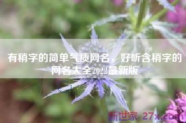 有稍字的简单气质网名，好听含稍字的网名大全2022最新版