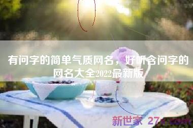 有问字的简单气质网名，好听含问字的网名大全2022最新版