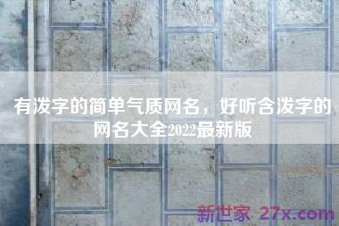 有泼字的简单气质网名，好听含泼字的网名大全2022最新版