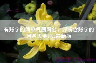 有账字的简单气质网名，好听含账字的网名大全2022最新版