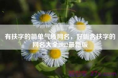 有扶字的简单气质网名，好听含扶字的网名大全2022最新版