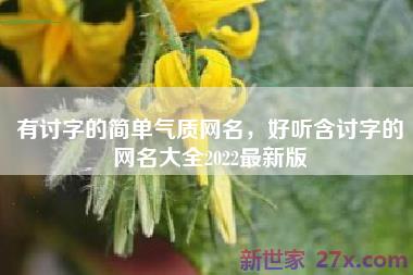 有讨字的简单气质网名，好听含讨字的网名大全2022最新版