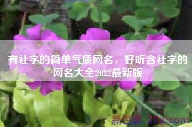 有社字的简单气质网名，好听含社字的网名大全2022最新版