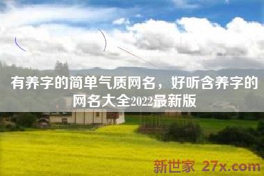 有养字的简单气质网名，好听含养字的网名大全2022最新版