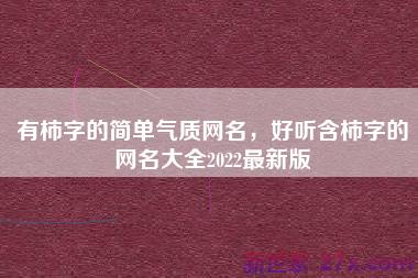 有柿字的简单气质网名，好听含柿字的网名大全2022最新版