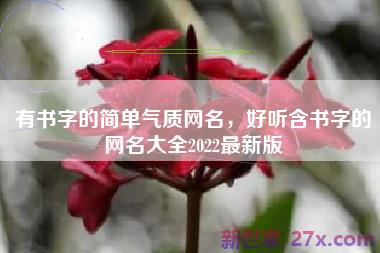 有书字的简单气质网名，好听含书字的网名大全2022最新版