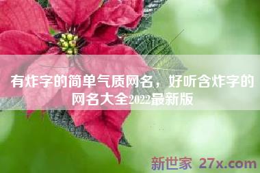 有炸字的简单气质网名，好听含炸字的网名大全2022最新版