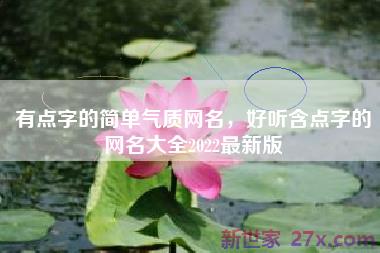 有点字的简单气质网名，好听含点字的网名大全2022最新版