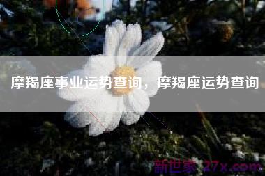 摩羯座事业运势查询，摩羯座运势查询