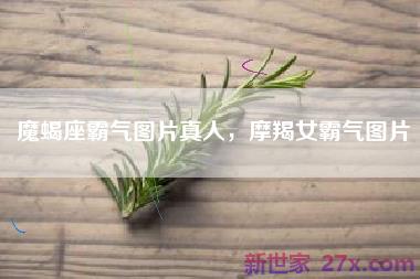 魔蝎座霸气图片真人，摩羯女霸气图片