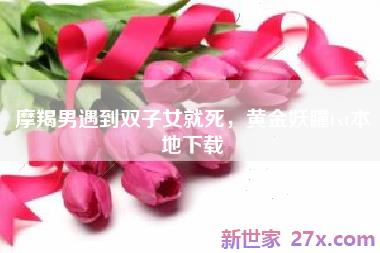 摩羯男遇到双子女就死，黄金妖瞳txt本地下载