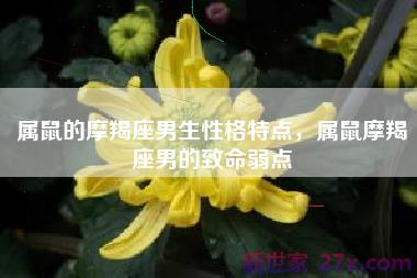 属鼠的摩羯座男生性格特点，属鼠摩羯座男的致命弱点