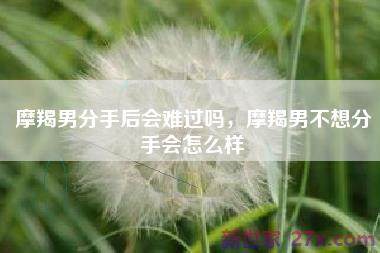 摩羯男分手后会难过吗，摩羯男不想分手会怎么样