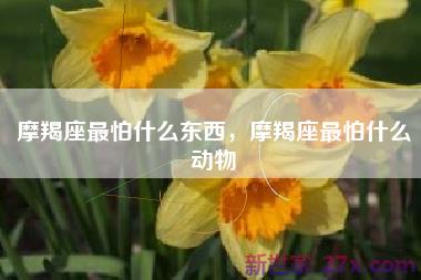 摩羯座最怕什么东西，摩羯座最怕什么动物