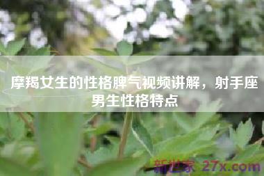 摩羯女生的性格脾气视频讲解，射手座男生性格特点