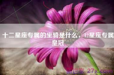 十二星座专属的坐骑是什么，12星座专属皇冠