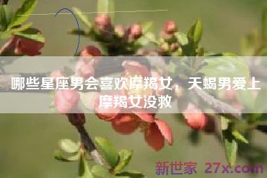 哪些星座男会喜欢摩羯女，天蝎男爱上摩羯女没救