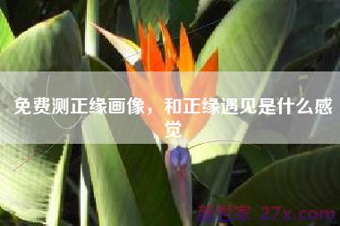 免费测正缘画像，和正缘遇见是什么感觉