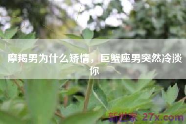 摩羯男为什么矫情，巨蟹座男突然冷淡你