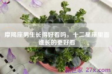 摩羯座男生长得好看吗，十二星座里面谁长的更好看