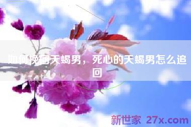 如何挽回天蝎男，死心的天蝎男怎么追回