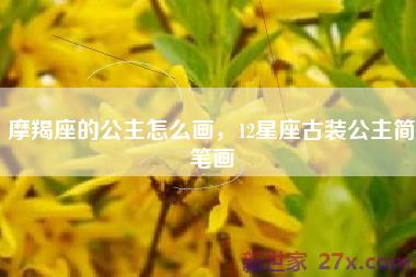 摩羯座的公主怎么画，12星座古装公主简笔画