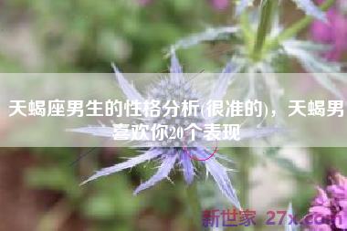 天蝎座男生的性格分析(很准的)，天蝎男喜欢你20个表现