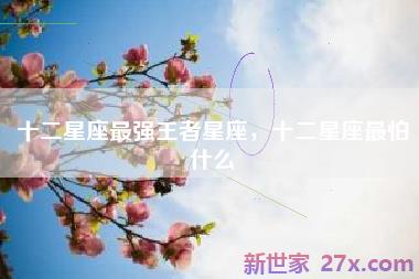 十二星座最强王者星座，十二星座最怕什么