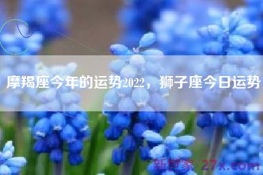 摩羯座今年的运势2022，狮子座今日运势