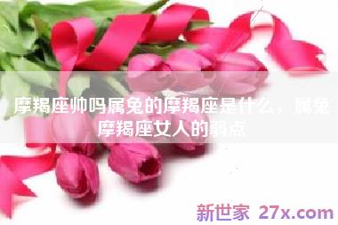 摩羯座帅吗属兔的摩羯座是什么，属兔摩羯座女人的弱点