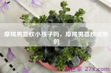 摩羯男喜欢小孩子吗，摩羯男喜欢成熟的