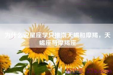 为什么说星座学只推崇天蝎和摩羯，天蝎座与摩羯座