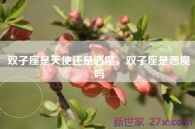 双子座是天使还是恶魔，双子座是恶魔吗