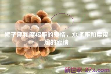 狮子座和摩羯座的爱情，水瓶座和摩羯座的爱情