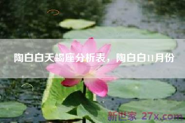 陶白白天蝎座分析表，陶白白11月份