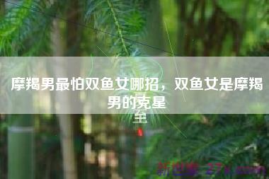 摩羯男最怕双鱼女哪招，双鱼女是摩羯男的克星