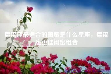 摩羯座最适合的闺蜜是什么星座，摩羯座更佳闺蜜组合