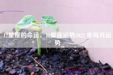 12星座的命运，12星座运势2022 年每月运势