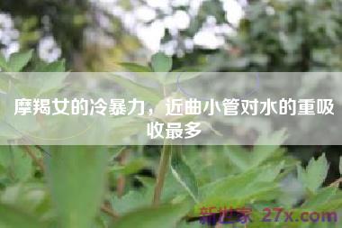 摩羯女的冷暴力，近曲小管对水的重吸收最多