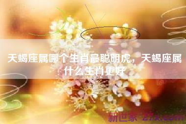 天蝎座属哪个生肖最聪明虎，天蝎座属什么生肖更好