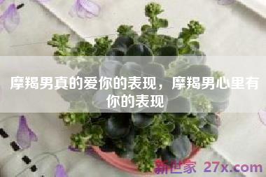 摩羯男真的爱你的表现，摩羯男心里有你的表现