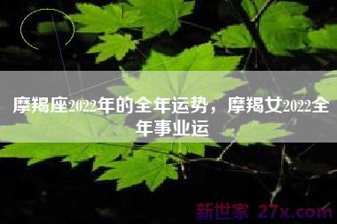 摩羯座2022年的全年运势，摩羯女2022全年事业运