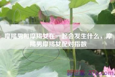 摩羯男和摩羯女在一起会发生什么，摩羯男摩羯女配对指数