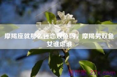 摩羯座就那么迷恋双鱼吗，摩羯男双鱼女谁虐谁