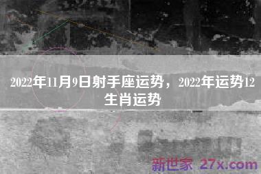 2022年11月9日射手座运势，2022年运势12生肖运势