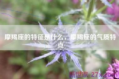 摩羯座的特征是什么，摩羯座的气质特点